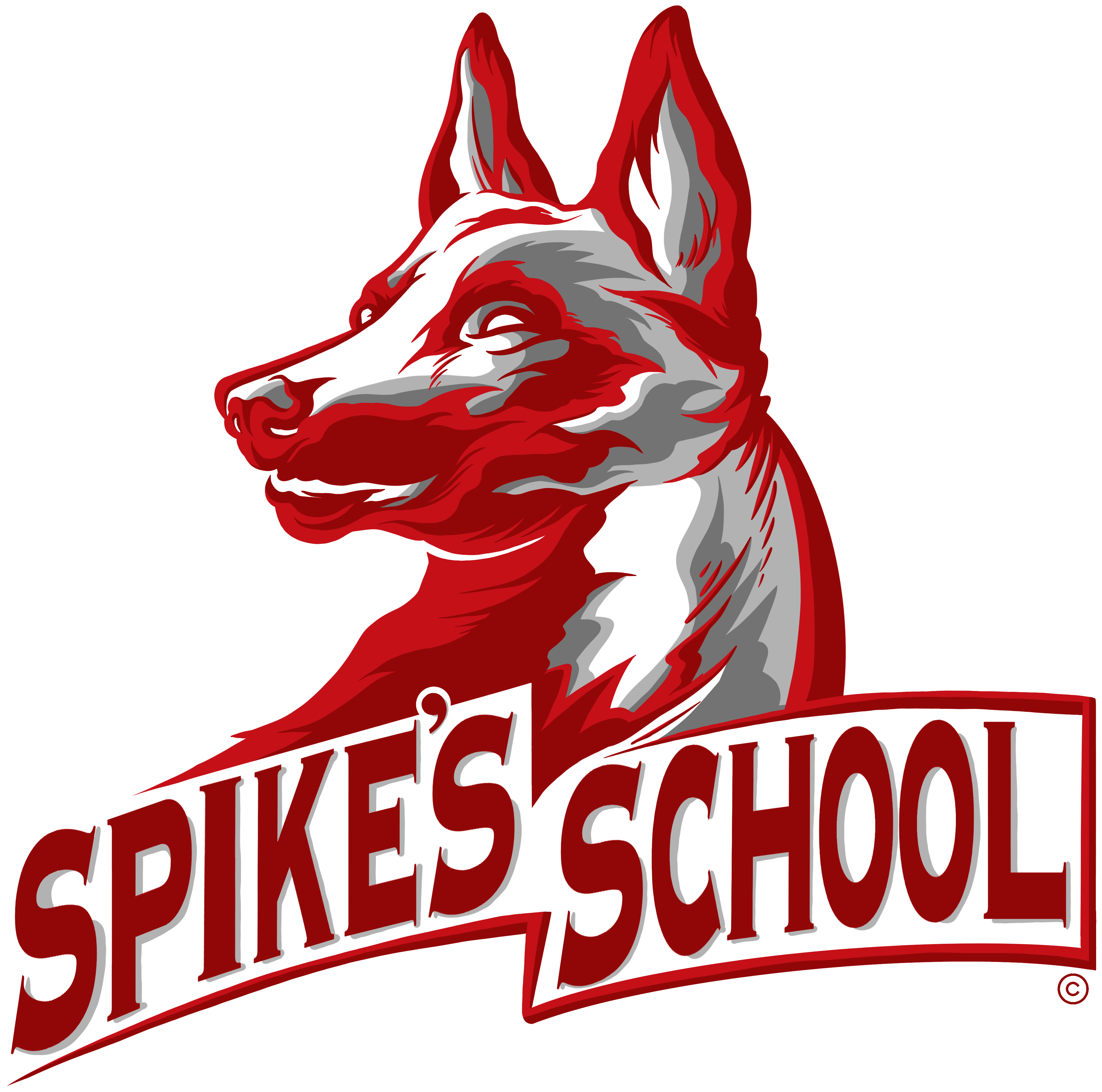 Spikes K9 Fund logo