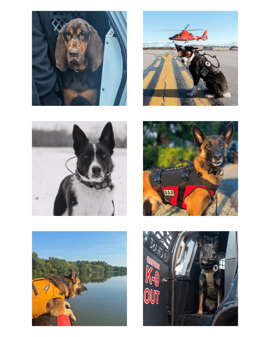 donate equipment to K9